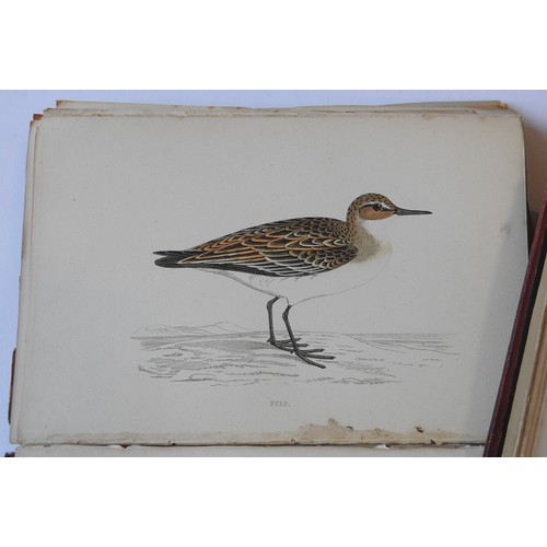 88 - SIX VOLS 'BRITISH BIRDS' BY REV. F. O. MORRIS, each volume with over forty colour engravings, along ... 