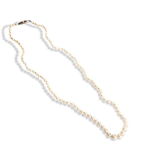 123 - A CULTURED PEARL NECKLACEconsisting of a single graduated row of cultured pearls 0.7cm to 0.3cm, str... 