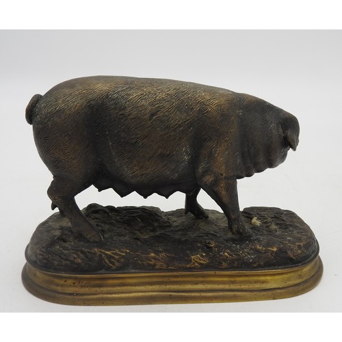 288 - AFTER PIERRE JULES MENE (1810-1879) GILT BRONZE FIGURE OF SOW, on a naturalistic modelled base14 x 2... 