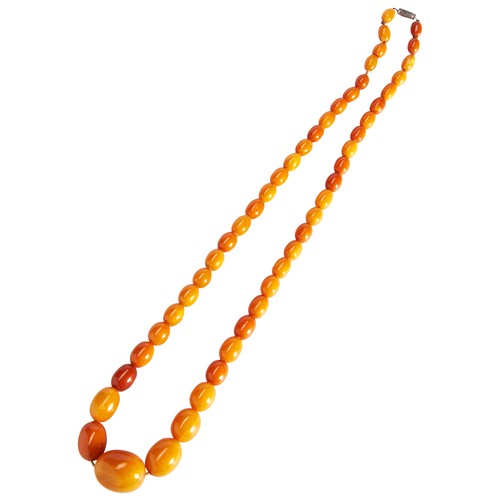 275 - AN AMBER NECKLACDEthe graduating row of polished amber beads on a silver clasp. Total weight 56.7gms... 