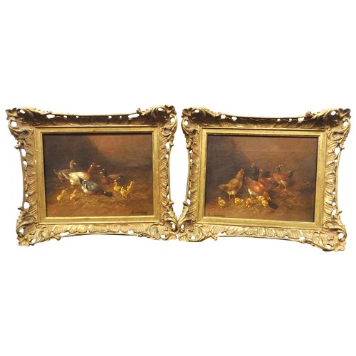 596 - ADOLF NOWEY (19TH CENTURY), DUCKS & CHICKENS, two oil paintings on canvas, signed, gilt framed24... 