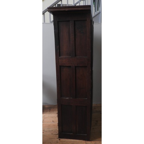 457 - A GEORGE III OAK PANELLED HOUSE CUPBOARD, circa 1780, rustic rectangular form with a panelled door e... 