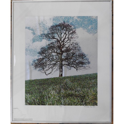 458 - P & B. SLADEN (20TH CENTURY) 'OAK' COLOUR LITHOGRAPH, signed and numbered 60/8047 x 37.5 cm... 