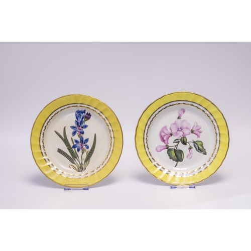 1015 - FIVE DERBY YELLOW GROUND BOTANICAL PLATESCirca 1800, each with named botanical specimens and blue ma... 