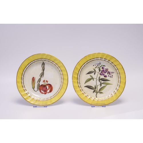 1015 - FIVE DERBY YELLOW GROUND BOTANICAL PLATESCirca 1800, each with named botanical specimens and blue ma... 