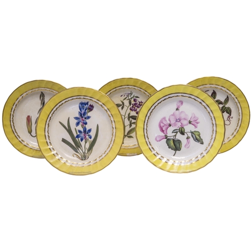 1015 - FIVE DERBY YELLOW GROUND BOTANICAL PLATESCirca 1800, each with named botanical specimens and blue ma... 