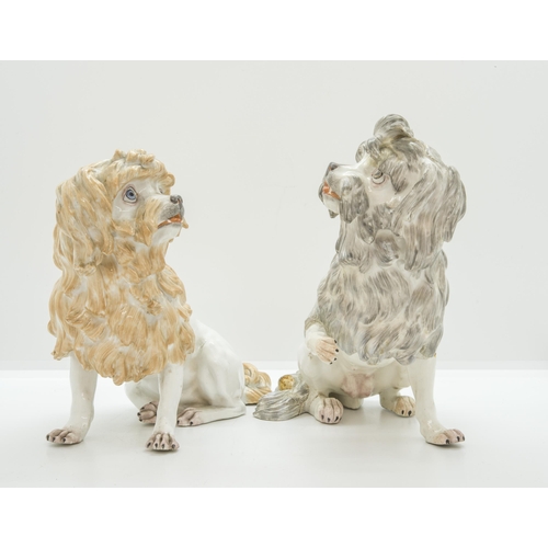 1055 - A PAIR OF BOLOGNESE HOUNDS19th century, tallest is 18cms high