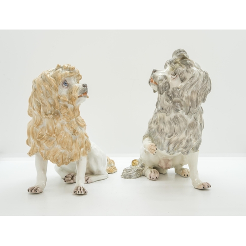 1055 - A PAIR OF BOLOGNESE HOUNDS19th century, tallest is 18cms high