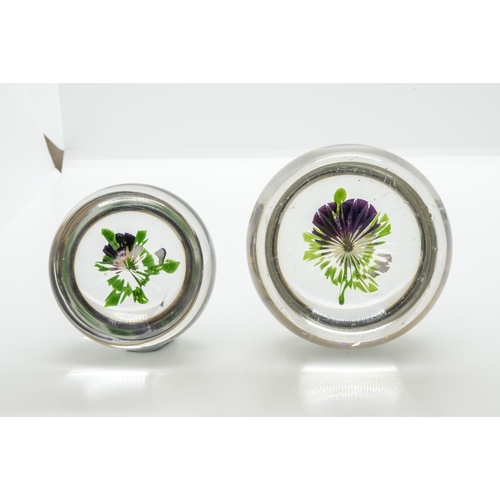 1252 - TWO PANSY PAPERWEIGHT, PROBABBLY BACCARATLate 19th century, largest is 8cms