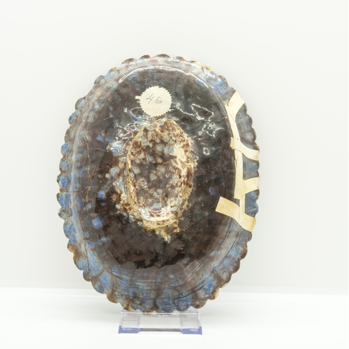 1195 - MANNER OF BERNARD PALISSY17th century or later an oval footed dish depicting Charity, 21.5cms