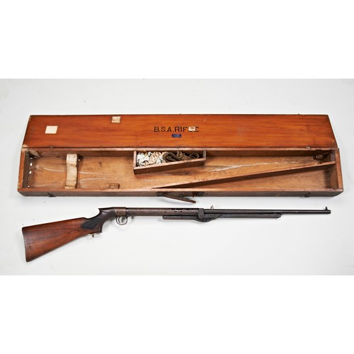 684 - A BSA 'STANDARD' .177 AIR RIFLE WITH OLD CUSTOM MADE MAHOGANY CASE. Degraded condition with added st... 