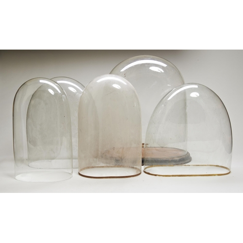 1296 - 5 GLASS DOMES