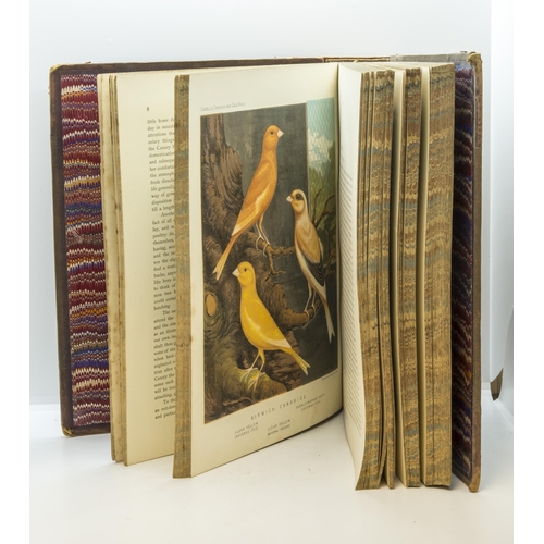 1393 - BLAKSTON, W. A. SWAYSLAND, W. WIENER, AUGUST F. CANARIES AND CAGE-BIRDS, 55 chromolithograph plates,... 