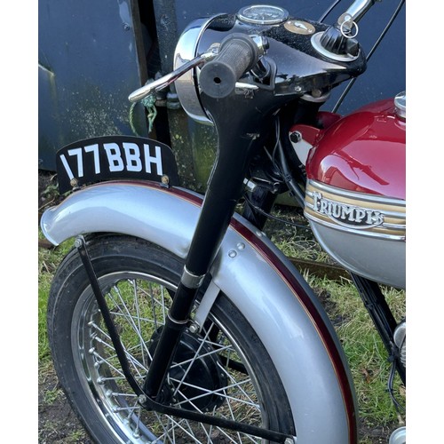 88 - 1957 Triumph Tiger CubRegistration Number: 177 BBHFrame Number: T30470Launched at the 1953 Earls Cou... 