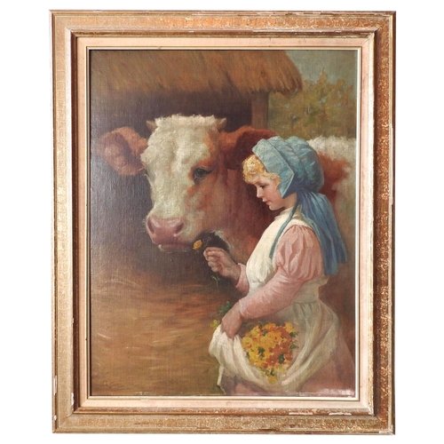 447 - TOM CURR ( 1887-1958) OIL PAINTING ON BOARD OF GIRL AND CALF, the girl holding out a yellow flower, ... 