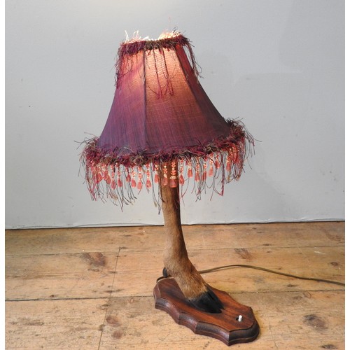 182 - A VINTAGE TAXIDERMY DEER'S LEG, mounted on a wooden cartouche form plinth, converted to a table lamp... 