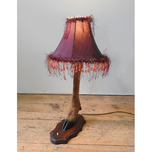 182 - A VINTAGE TAXIDERMY DEER'S LEG, mounted on a wooden cartouche form plinth, converted to a table lamp... 