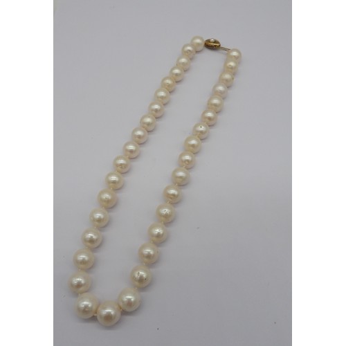 566 - A CULTURED PEARL NECKLACE