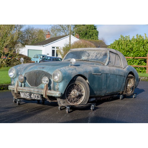 12 - 1954 AUSTIN HEALEY 100/4 BN1Registration Number: MUS 403Chassis Number: BN1/156426Recorded Mileage: ... 