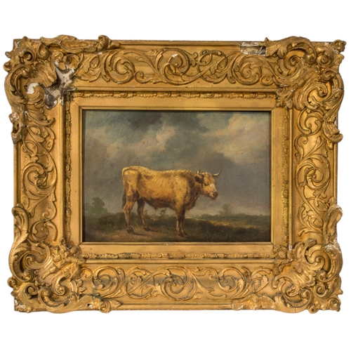 115 - ATTRIBUTED TO THOMAS SIDNEY COOPER (1803-1902) OIL PAINTING ON BOARD OF LONG HORNED COW, stood in a ... 