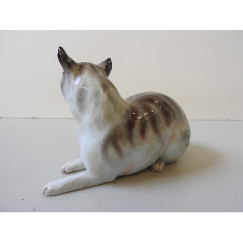 612 - A MEISSEN CAT19th CENTURYthe seated cat decorated with shades of brown,10cms high