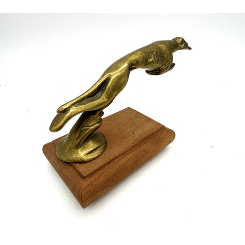 11 - GREYHOUND DOG CAR MASCOTA brass car mascot in the form of an greyhound, mounted on a wooden base.Ref... 