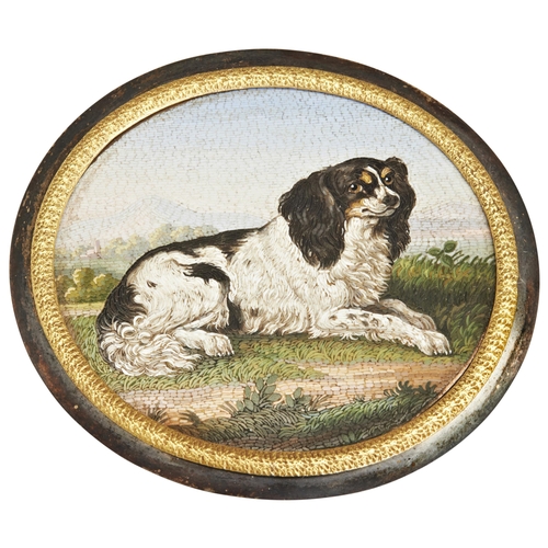 A FINE CASED MICROMOSAIC OF A SPANIEL, ITALIAN C.1820. A very finely detailed mosaic of a King Charles Cavalier spaniel in a silver and gold frame.