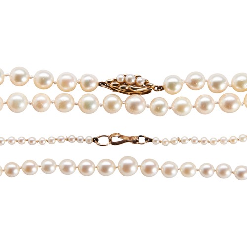 277 - A CULTURED PEARL NECKLACEthe uniform row of cultured pearls on a shaped clasp set with three graduat... 