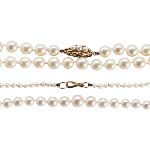 277 - A CULTURED PEARL NECKLACEthe uniform row of cultured pearls on a shaped clasp set with three graduat... 