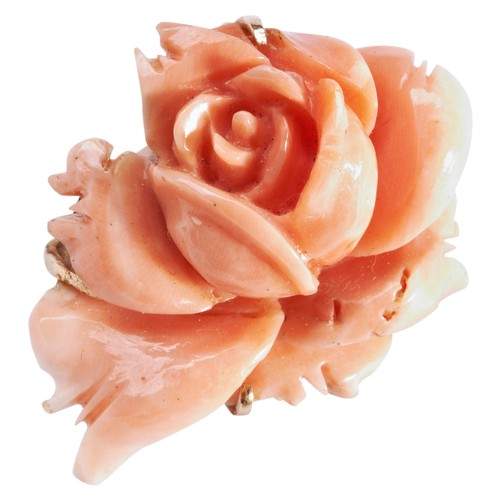 273 - CORAL FLOWER BROOCHCarved as a rose, on a brooch fitting.Stamped '14k'Total weight 14.7gms3.5cm wide... 