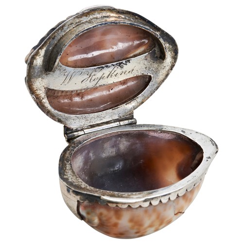 131 - AN UNUSUALLY SMALL SILVER MOUNTED COWRIE SHELL SNUFF BOX, C.1780 Engraved to the inside 