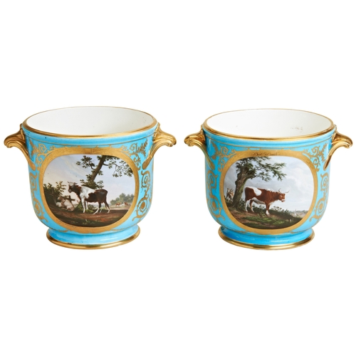 711 - A PAIR OF SEVRES CACHEPOTS, the sides decorated with reserved scenes of livestock and country estate... 