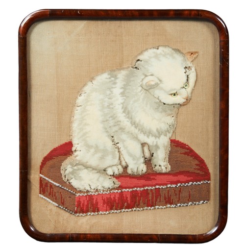 676 - A NEEDLEWORK POLE SCREEN PANEL, 19TH CENTURY, depicting a white cat sat upon a cushion, glazed and f... 