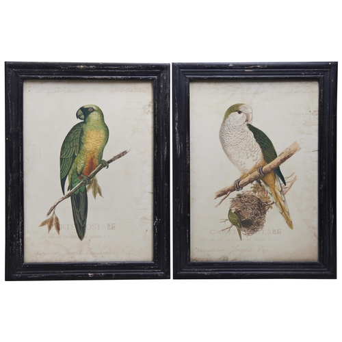 649 - ALEXANDER FRANCIS LYDON (1836-1917) A SET OF SIX COLOUR LITHOGRAPHS OF PARROTS, glazed and framed42 ... 