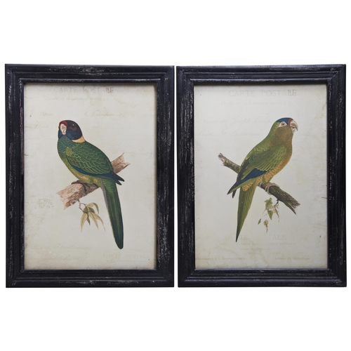 649 - ALEXANDER FRANCIS LYDON (1836-1917) A SET OF SIX COLOUR LITHOGRAPHS OF PARROTS, glazed and framed42 ... 