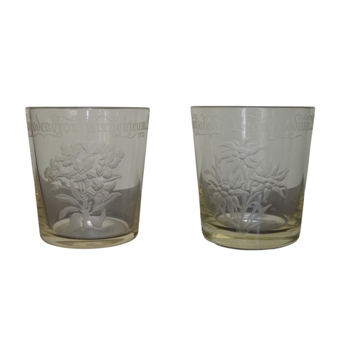 299 - A PAIR OF VINTAGE ETCHED GLASS TUMBLERS, the tapering sides decorated with botanical decoration of E... 