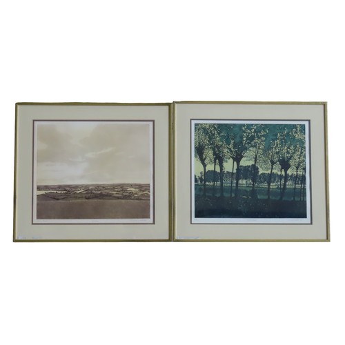 369 - PHIL GREENWOOD (b.1943) 'VISTA' & 'FENCE TREES' PRINTS, signed and numbered42 x 48 cm max