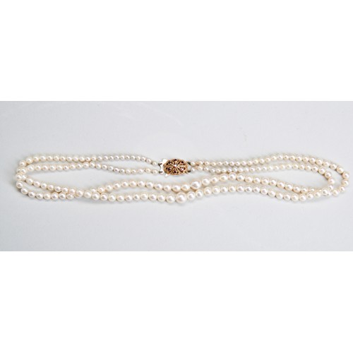 561 - A DOUBLE STRAND OF CULTURED PEARLS, with gold clasp