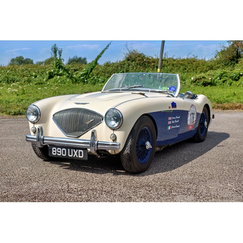 31 - 1955 Austin-Healey 100 Le Mans                 Registration Number: 890 UXDChassis Number: BN1L22747... 