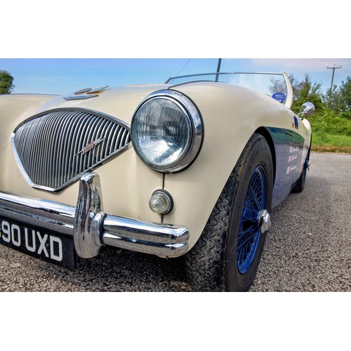 31 - 1955 Austin-Healey 100 Le Mans                 Registration Number: 890 UXDChassis Number: BN1L22747... 