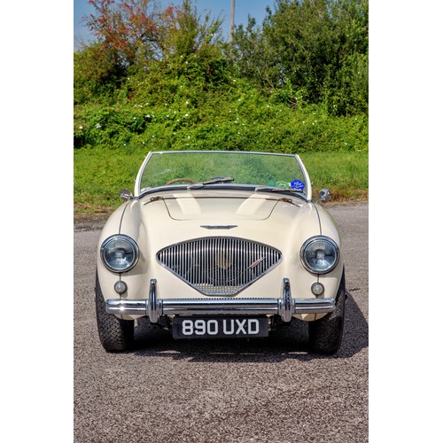 31 - 1955 Austin-Healey 100 Le Mans                 Registration Number: 890 UXDChassis Number: BN1L22747... 