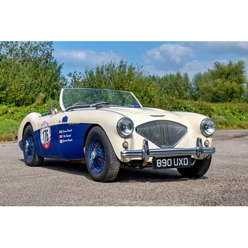 31 - 1955 Austin-Healey 100 Le Mans                 Registration Number: 890 UXDChassis Number: BN1L22747... 