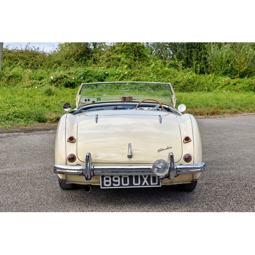 31 - 1955 Austin-Healey 100 Le Mans                 Registration Number: 890 UXDChassis Number: BN1L22747... 