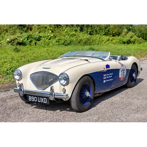 31 - 1955 Austin-Healey 100 Le Mans                 Registration Number: 890 UXDChassis Number: BN1L22747... 