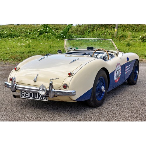 31 - 1955 Austin-Healey 100 Le Mans                 Registration Number: 890 UXDChassis Number: BN1L22747... 