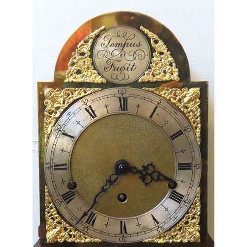 162 - A MAHOGANY AND OAK CASED 'TEMPUS FUGIT' GRANMOTHER CLOCK, 6.5 inch dial with silvered chapter ring, ... 