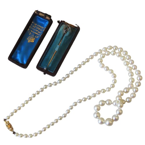 612 - A CULTURED PEARL NECKLACE AND A SAPPHIRE SET STICK PIN, the necklace with a 9ct gold clasp, the yell... 