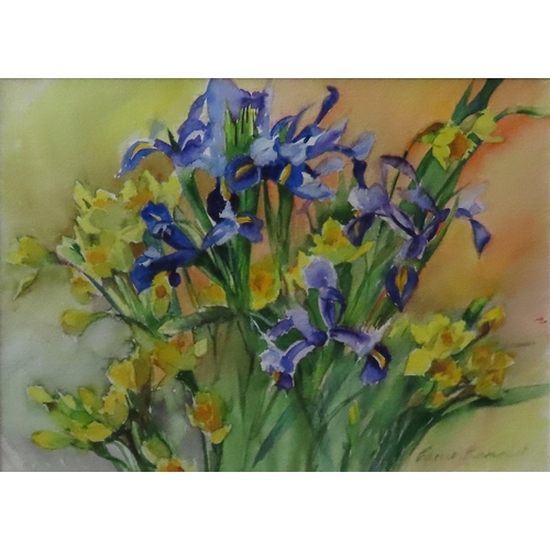 460 - CARRIE DIAMOND (b.1930) WATER COLOUR OF IRISES AND DAFFODILS, signed in lower right corner, glazed a... 