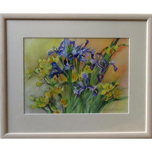 460 - CARRIE DIAMOND (b.1930) WATER COLOUR OF IRISES AND DAFFODILS, signed in lower right corner, glazed a... 