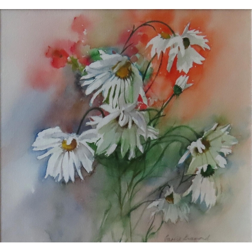 462 - CARRIE DIAMOND (b.1930) WATER COLOUR OF DAISIES, signed in lower right corner, glazed and framed30 x... 